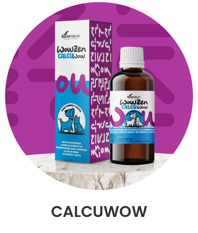 calcuwow2