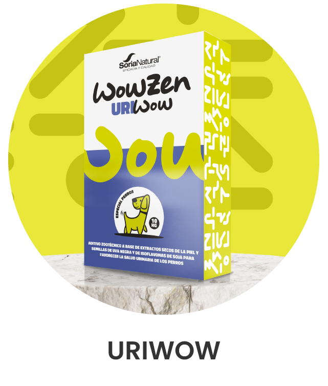 uriwow2