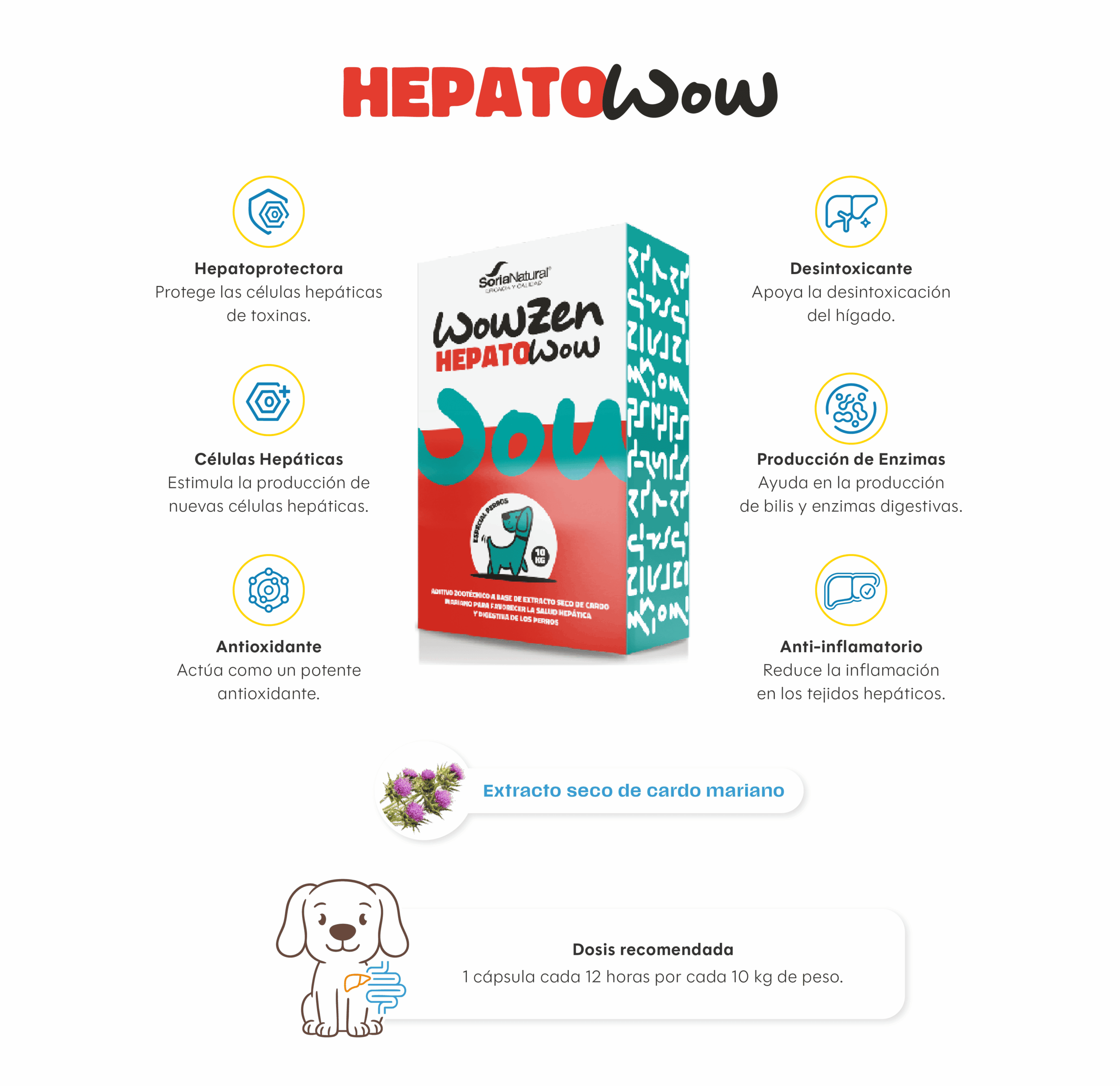 info_hepatowow